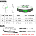 Pet Collar - SJB-DIAMOND ELITES