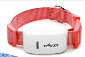 Pettrack Gps: The Ultimate Locator Device For Your Beloved Pets Lootquake LLC