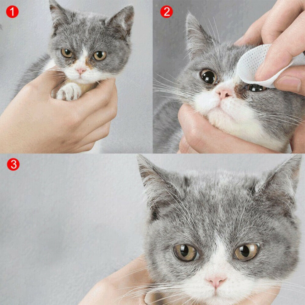 Pet Wet Wipes - SJB-DIAMOND ELITES