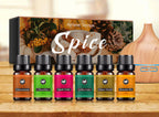 16 Theme Atmosphere Flameless Essential Oil Sets Pi-Mart