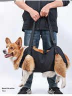Oxford Cloth Dog Injury Travel Auxiliary Strap Pi-Mart