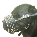 The "Danger" muzzle - SJB-DIAMOND ELITES