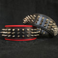 "Danger" collar Bestia Dog Gear