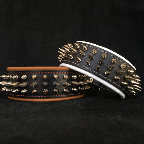 "Danger" collar Bestia Dog Gear