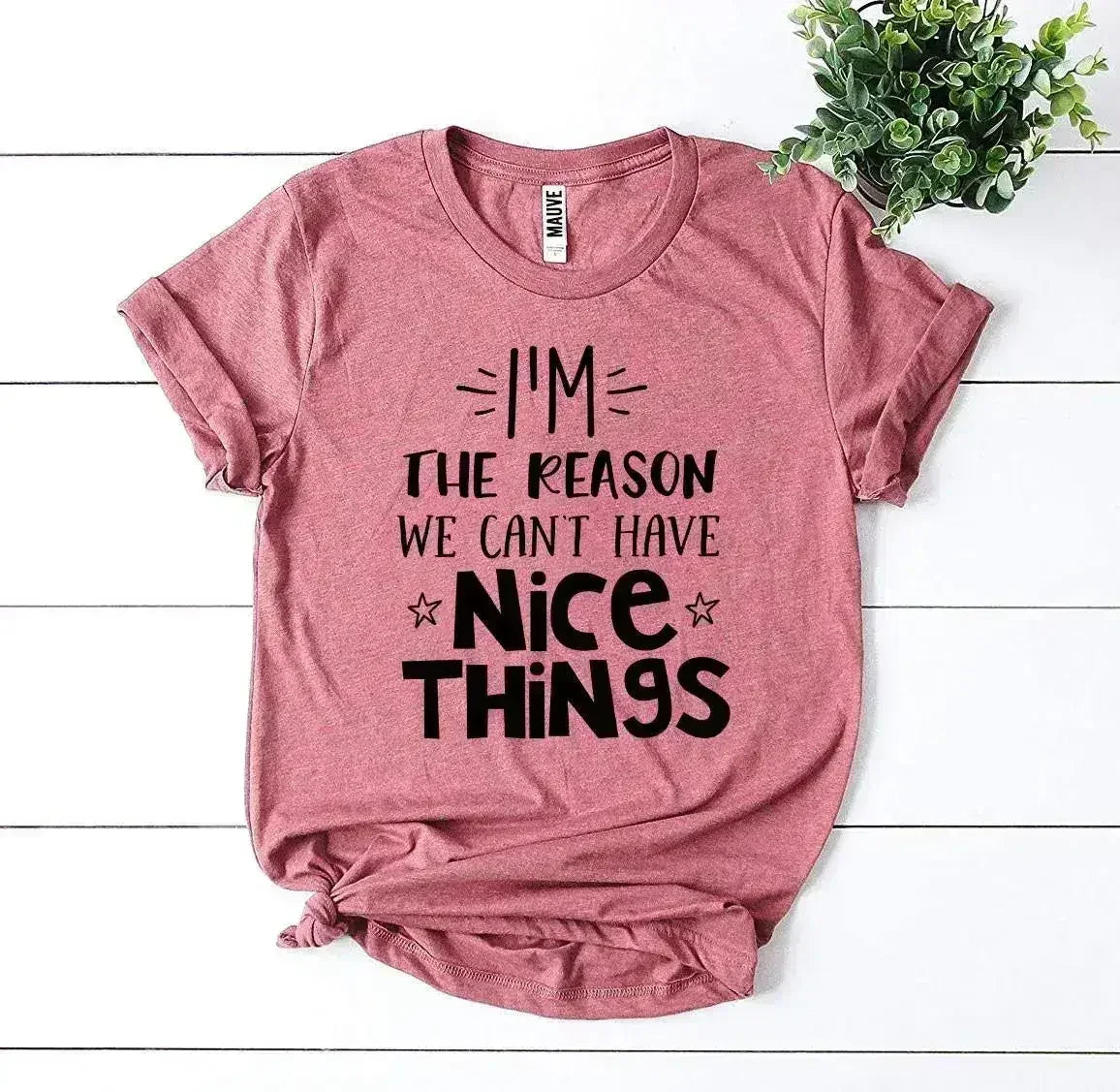 I’m The Reason We Can’t Have Nice Things T-shirt - SJB-DIAMOND ELITES