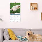 New Year Dog Poop Calendar Pi-Mart