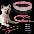 Pet Collar - SJB-DIAMOND ELITES