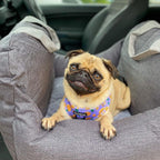 Pet Travel Bed - SJB-DIAMOND ELITES
