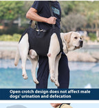 Oxford Cloth Dog Injury Travel Auxiliary Strap Pi-Mart