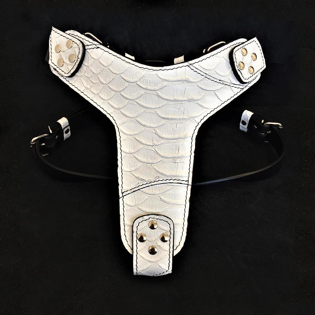 The ''Dragon Scale'' harness - SJB-DIAMOND ELITES