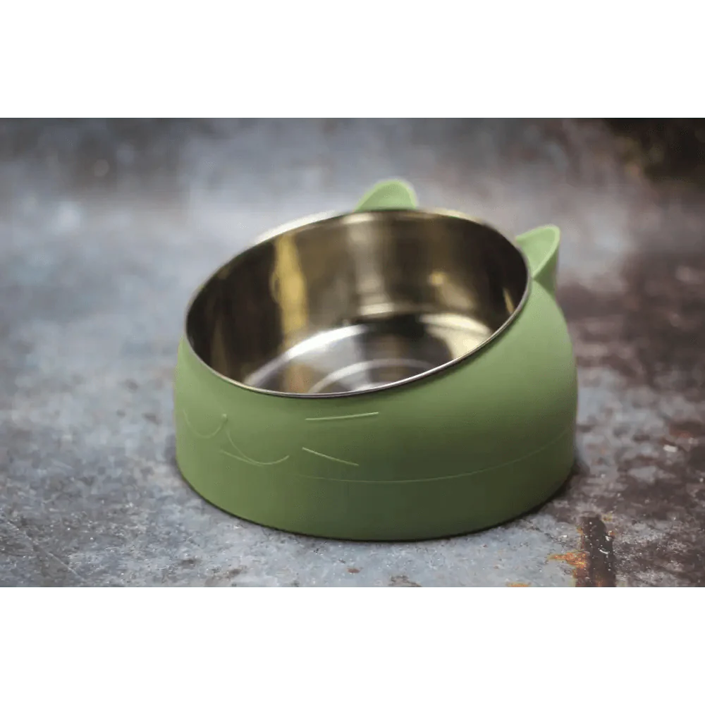 Durable Stainless Steel Cat Small Pet Bowl Easy Clean Cute Cat Feeding Bowls Drinking Water Feeder Tilt Dish For Pets Stevvex