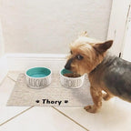 Durable Waterproof Pet Feeding Mat Water Cushion Non- Slip Personalized Pet Mat For Dog Cat Bowl Drinking Feeding Mat Stevvex