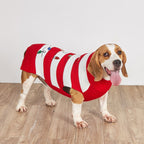 Pet Striped Christmas Lantern Turtleneck Sweater Pi-Mart