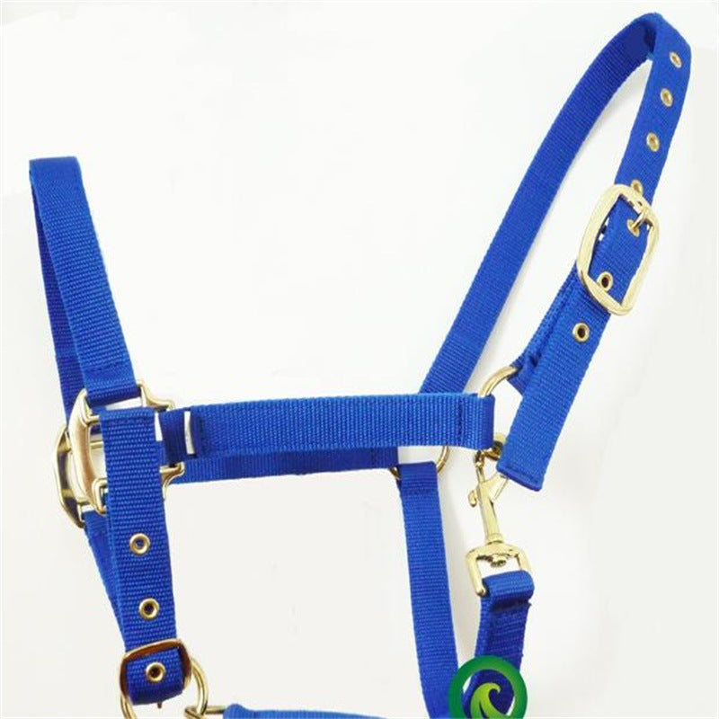 Horse Bridle Horse Headgear Can Be Customized Equestrian Equipment And Other Equestrian Supplies Lootquake LLC