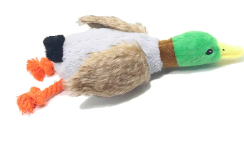 Quack Play Plush Dog Toy Pi-Mart