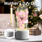 Creative 2 In 1 Bouquet LED Light And Bluetooth-compatible Speaker Mother's Day Gift Rose Luminous Night Light Ornament In Glass Cover Pi-Mart