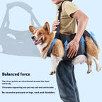 Oxford Cloth Dog Injury Travel Auxiliary Strap Pi-Mart