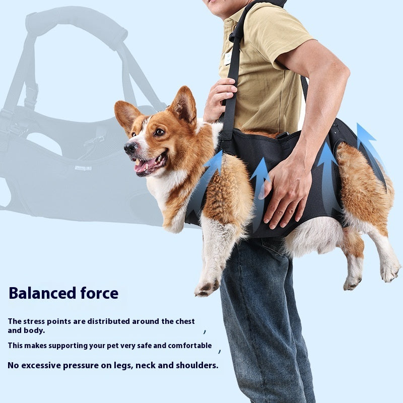Oxford Cloth Dog Injury Travel Auxiliary Strap Pi-Mart