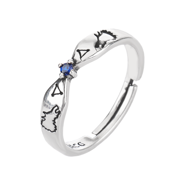 Adjustable Unisex Rings Pi-Mart