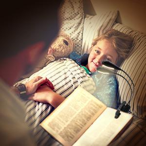 Super Adjustable Goosenecks Clip LED Lamp For Book Reading With Stand And Double Ligh  Rechargeable 12 LED Warm Book Light, Clip On Bed Reading Light, Music Stand Lamp, 2 Brightness & 2 Goosenecks Light Up 2 Full Pages. Perfect For Bookworms, Kids & Music - SJB-DIAMOND ELITES