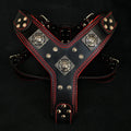 The "Eros" harness black & red Bestia Dog Gear