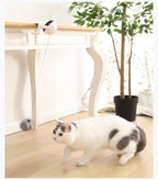 Electric Automatic Lifting Motion Cat Toy Puzzle Smart Pet Cat Teaser Ball Pet Supply Lifting Toys Toys Lifting Flutter Cat Exercise Toys Stevvex