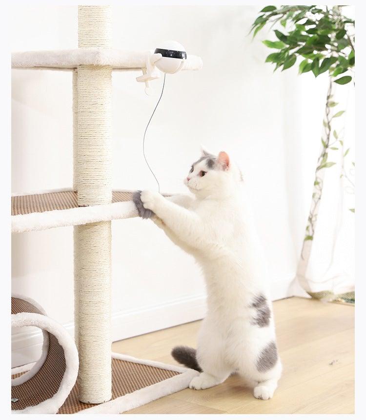 Electric Automatic Lifting Motion Cat Toy Puzzle Smart Pet Cat Teaser Ball Pet Supply Lifting Toys Toys Lifting Flutter Cat Exercise Toys Stevvex
