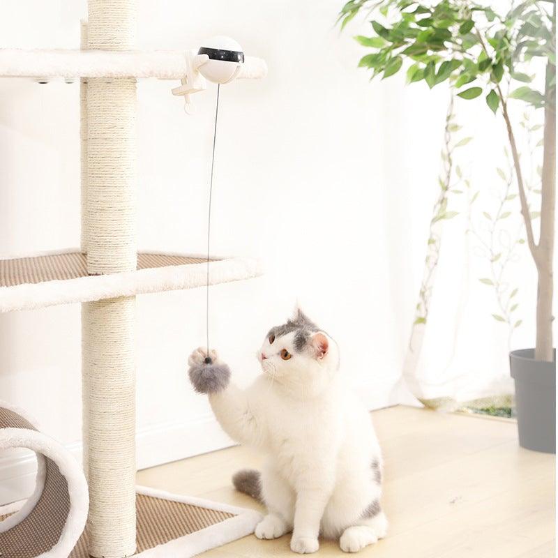 Electric Automatic Lifting Motion Cat Toy Puzzle Smart Pet Cat Teaser Ball Pet Supply Lifting Toys Toys Lifting Flutter Cat Exercise Toys Stevvex