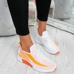 Elegant Sport Women's Vulcanized Female Lace Up Mesh Sneakers Round Toe Casual Walking Shoes Mesh Flat Anti-slip Women Breathable Mesh Fashion Sneakers Stevvex