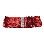 Elegant Wide Fabric Strap  Silver Metal Buckle Belts For Women Trendy Women's Fashion Stretchable Classic Color Belts Stevvex