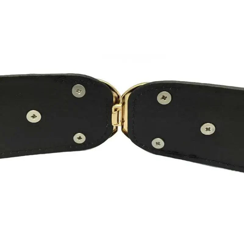 Elegant Wide Fabric Strap  Silver Metal Buckle Belts For Women Trendy Women's Fashion Stretchable Classic Color Belts Stevvex