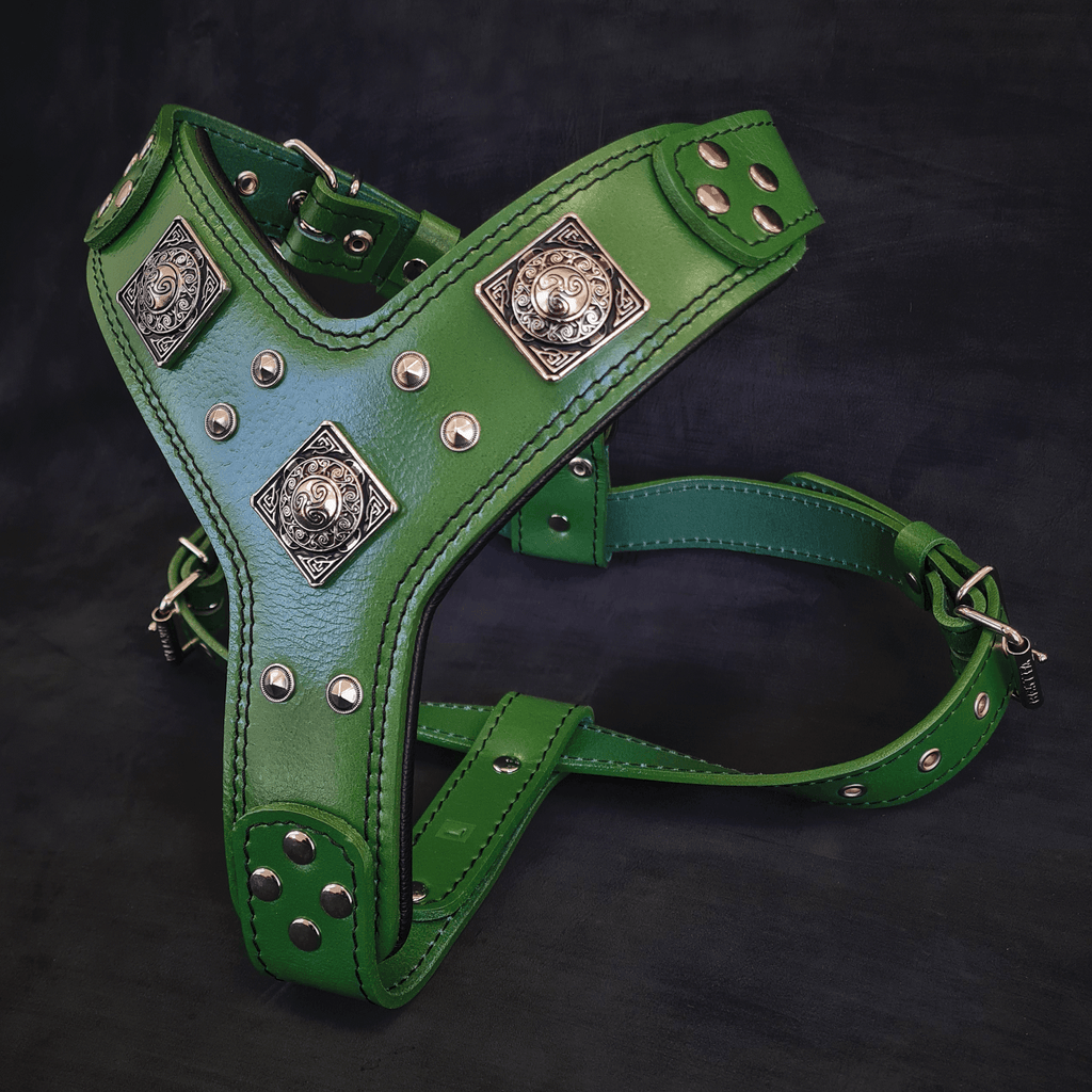 The "Eros" harness GREEN - SJB-DIAMOND ELITES