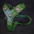 The "Eros" harness GREEN - SJB-DIAMOND ELITES