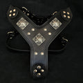 The "Eros" all Black Harness - SJB-DIAMOND ELITES