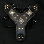 The "Eros" all Black Harness - SJB-DIAMOND ELITES