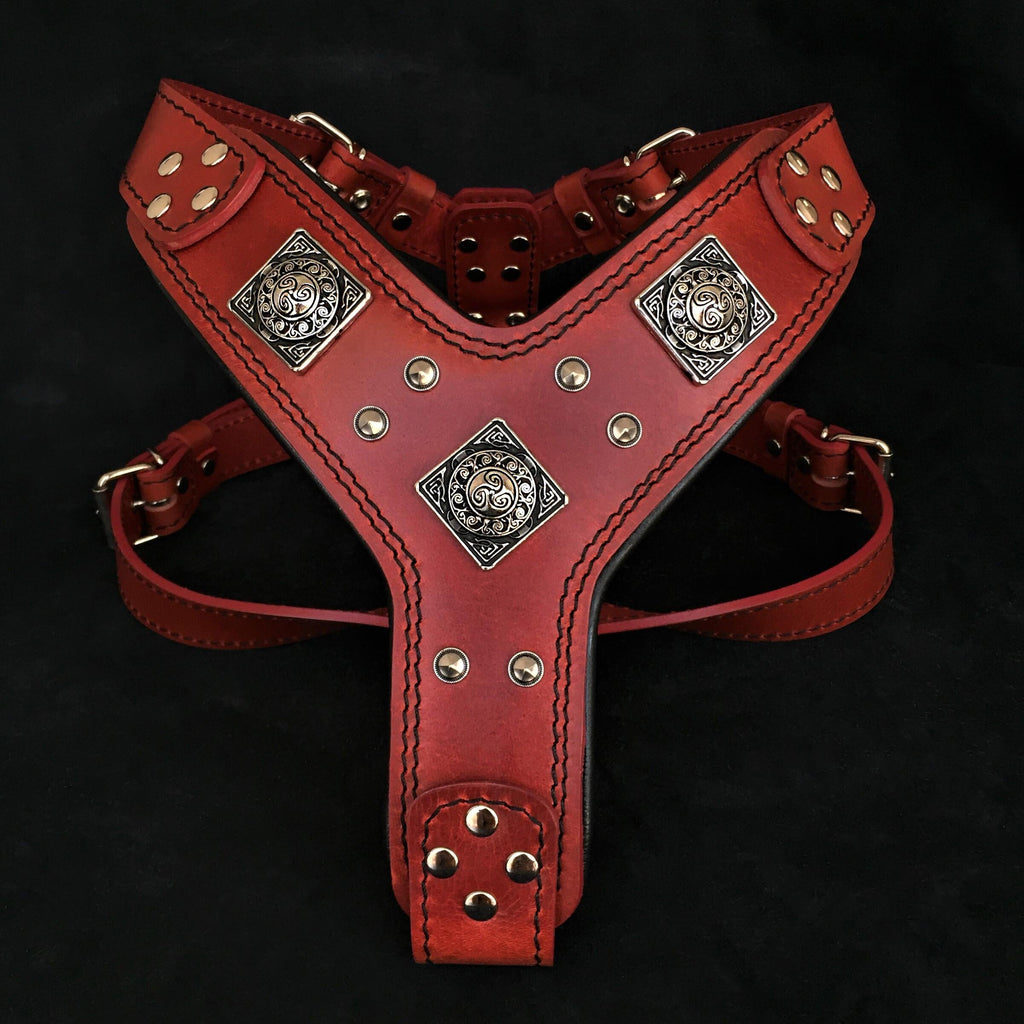 The "Eros" harness RED - SJB-DIAMOND ELITES