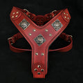 The "Eros" harness RED - SJB-DIAMOND ELITES