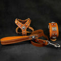 "EROS" Small to Medium dog SET - Harness - collar - lead. Brown Bestia Dog Gear