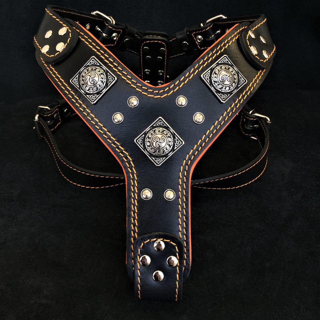 The "Eros" harness Black & Orange - SJB-DIAMOND ELITES