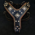 The "Eros" harness Black & Orange - SJB-DIAMOND ELITES