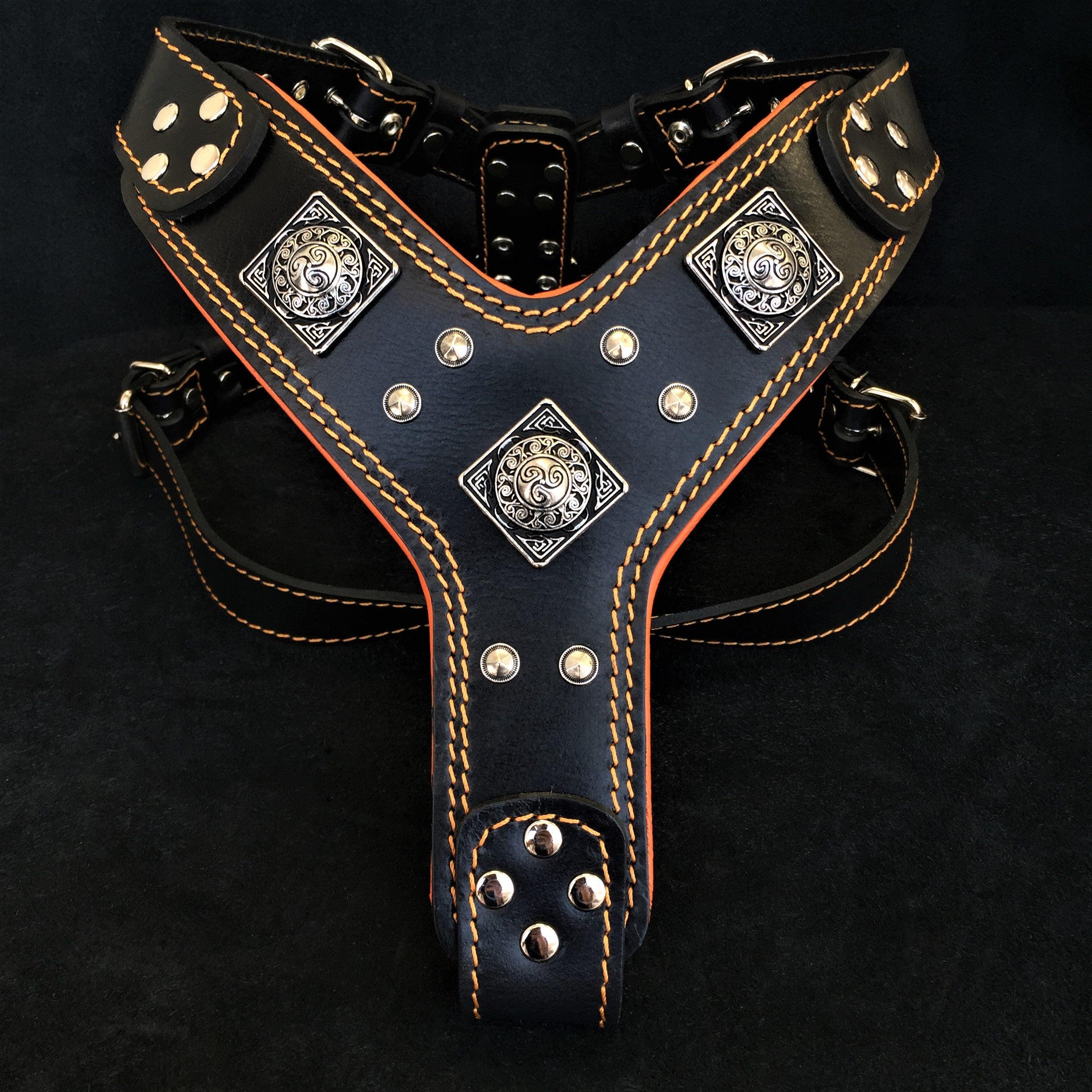 The "Eros" harness Black & Orange - SJB-DIAMOND ELITES