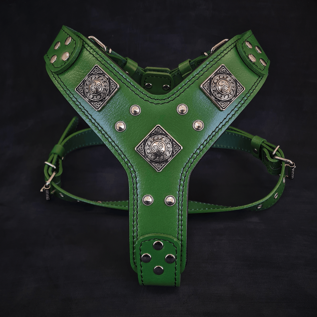 The "Eros" harness GREEN - SJB-DIAMOND ELITES
