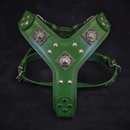 The "Eros" harness GREEN - SJB-DIAMOND ELITES