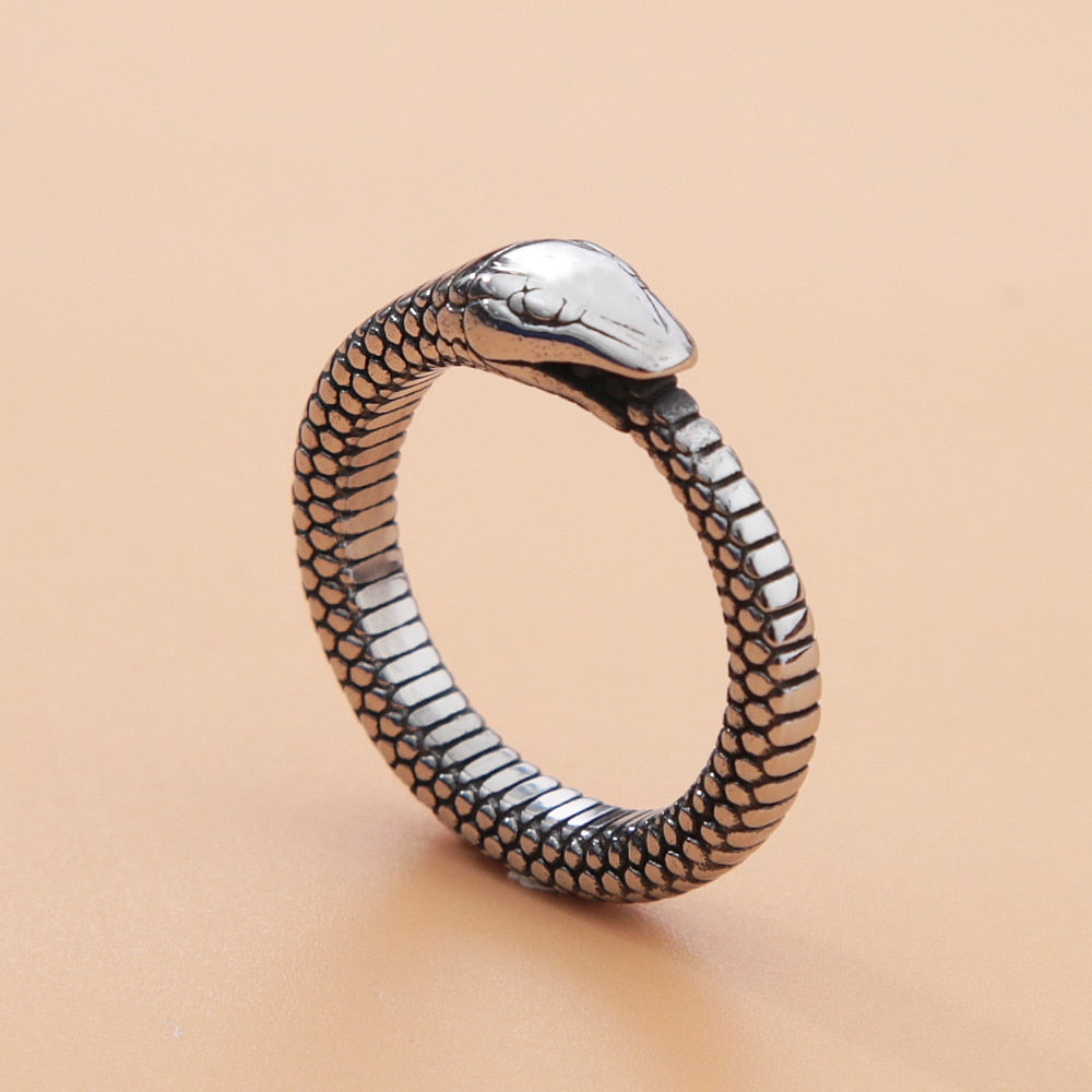Retro Norse Mythology Men Ouroboros Ring Pi-Mart