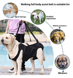 Oxford Cloth Dog Injury Travel Auxiliary Strap Pi-Mart
