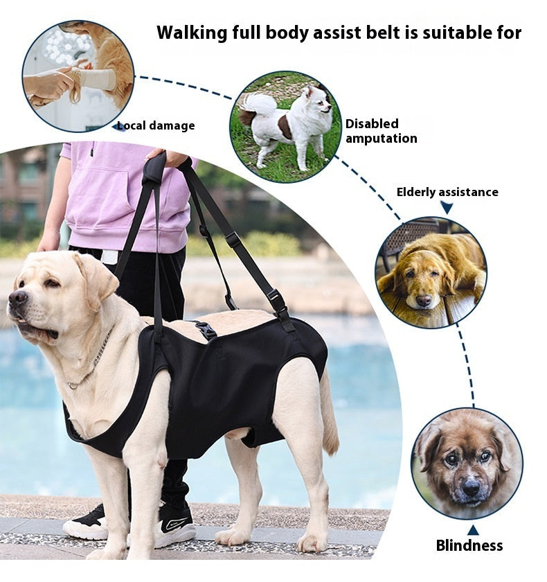Oxford Cloth Dog Injury Travel Auxiliary Strap Pi-Mart