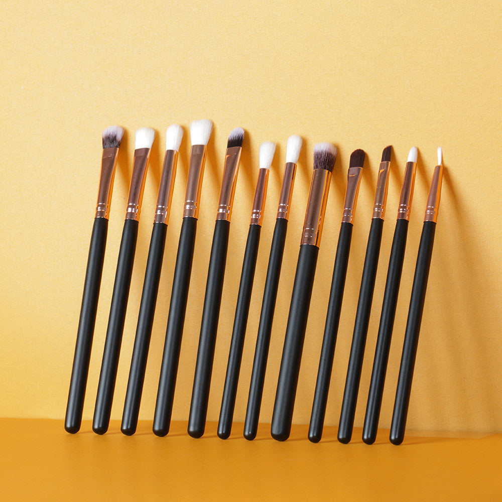 Multifunctional Makeup Brush Set With 12 Eye Tools Pi-Mart