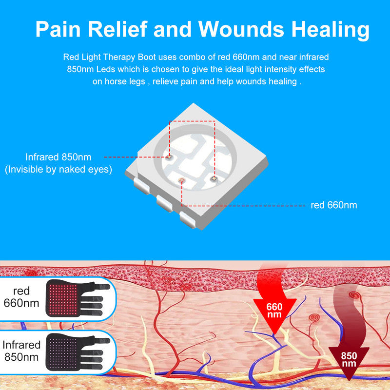 Portable Phototherapy For Horse Legs Lootquake LLC