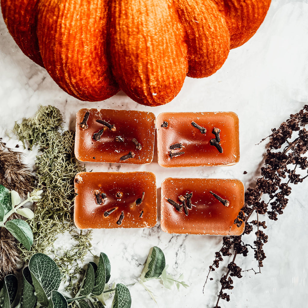 Fall Clove XL Natural Wax Melts 4 Cubes Spicy Cinnamon Clove Autumn Scent BandsCo Straps