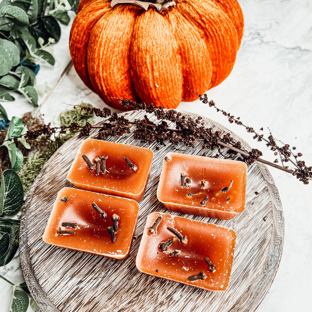 Fall Clove XL Natural Wax Melts 4 Cubes Spicy Cinnamon Clove Autumn Scent BandsCo Straps